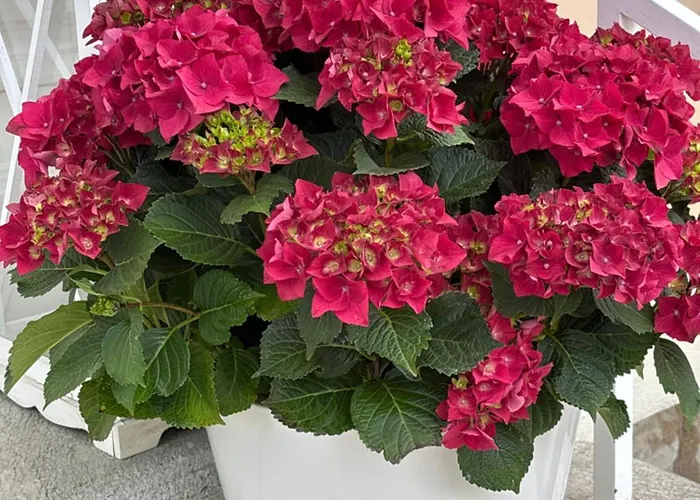 Apartman Seevilla Wienerroither